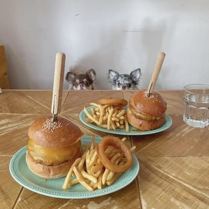 image12 | コーヒーステーション