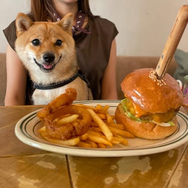 image13 | コーヒーステーション