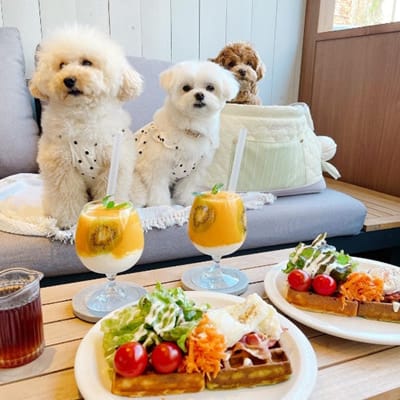 image2 | コーヒーステーション