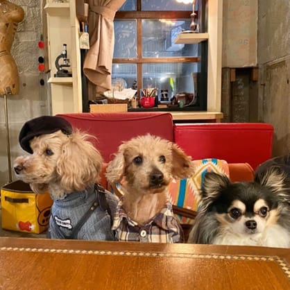 image4 | コーヒーステーション