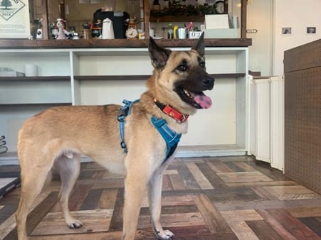 image6 | コーヒーステーション