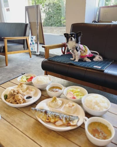 image7 | コーヒーステーション