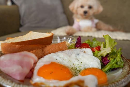 image9 | コーヒーステーション