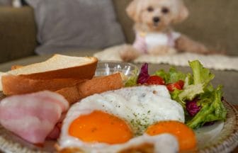 image9 | コーヒーステーション