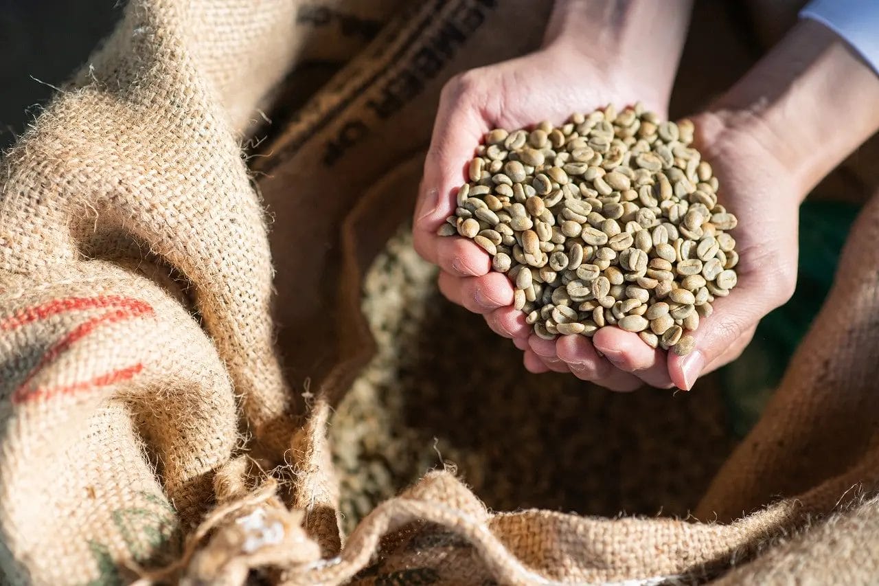 230704t9 | コーヒーステーション