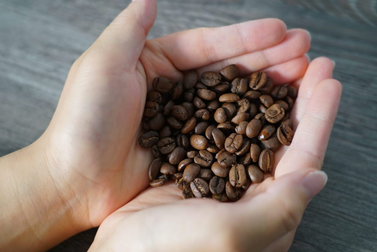 DSC09060 | コーヒーステーション