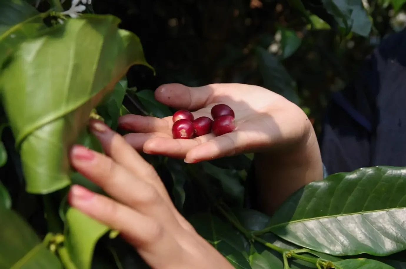 230818p1 | コーヒーステーション
