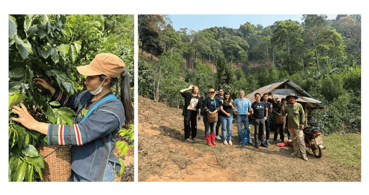 230818p2 | コーヒーステーション