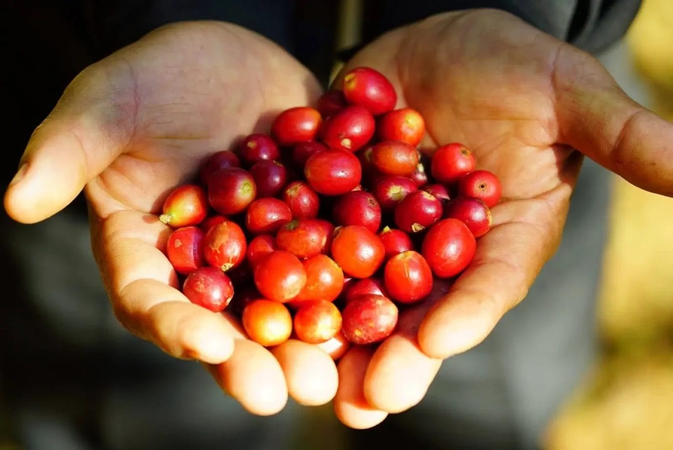 231107u2 | コーヒーステーション