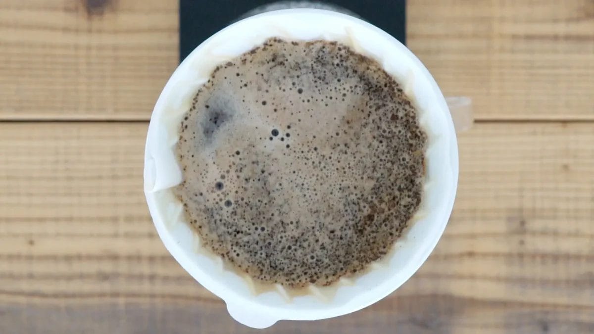 231108h2 | コーヒーステーション