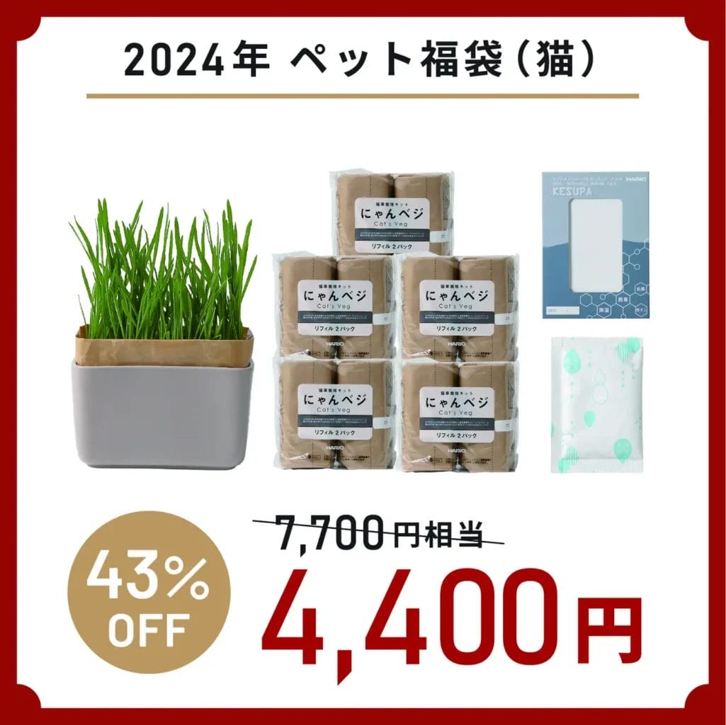 231215h7 | コーヒーステーション