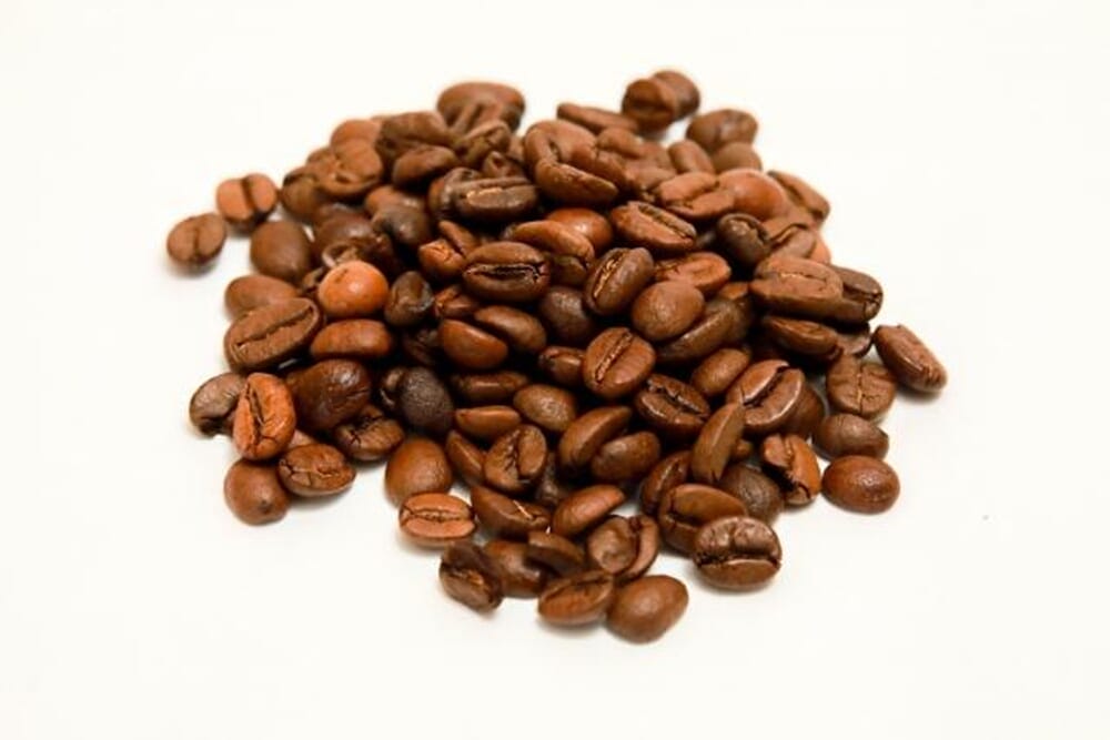 image23 | コーヒーステーション