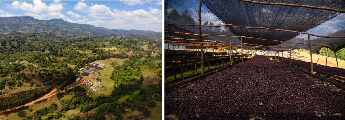 sub16 | コーヒーステーション