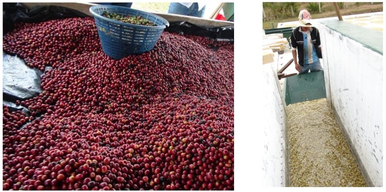 sub24 | コーヒーステーション