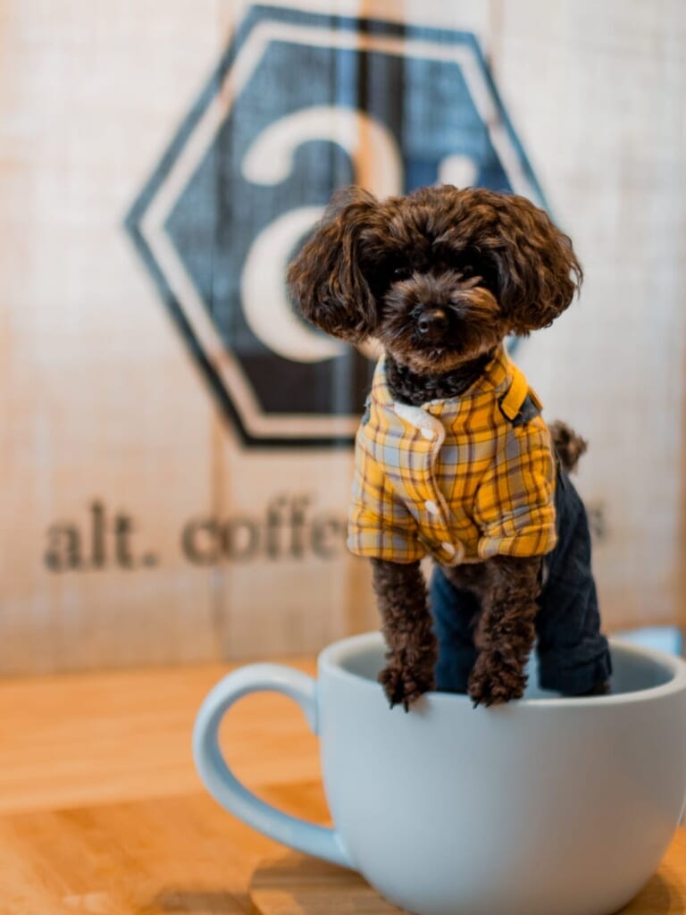 sub141 | コーヒーステーション