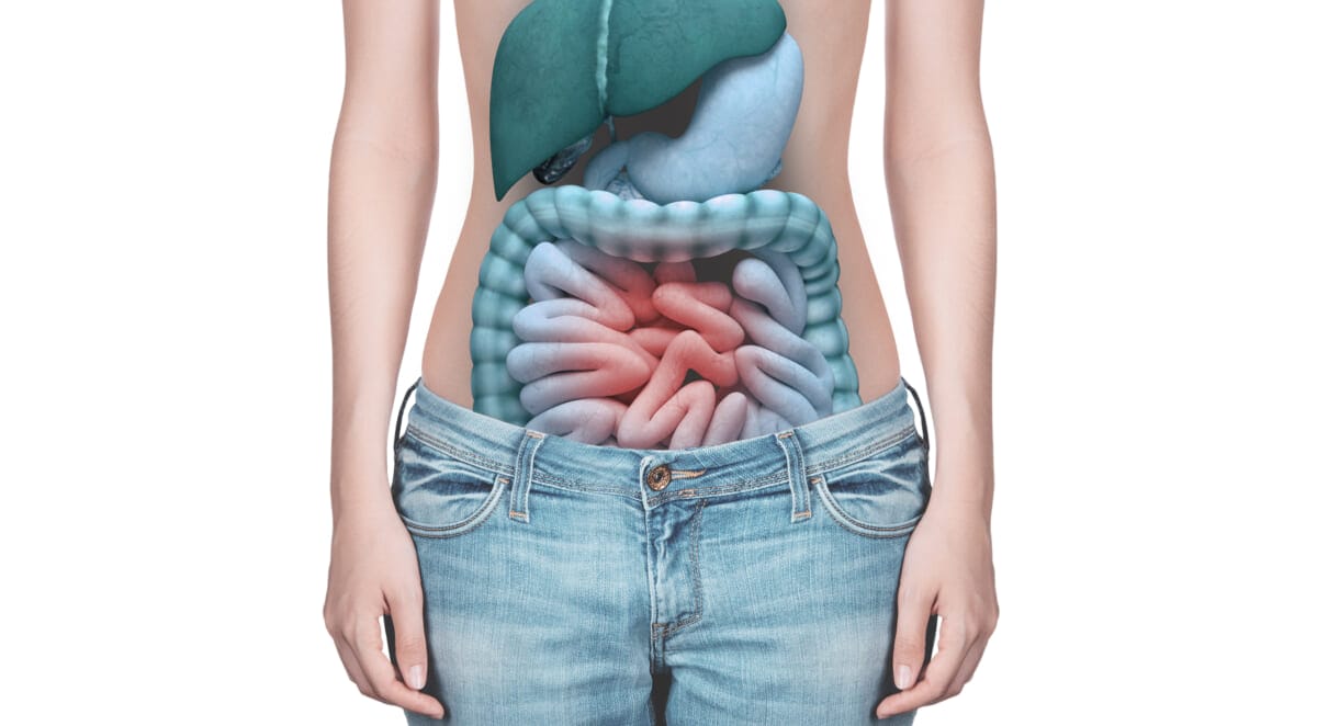 Anatomia intestino con dolore o infiammato | コーヒーステーション