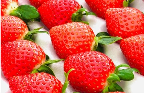 2407172 | コーヒーステーション