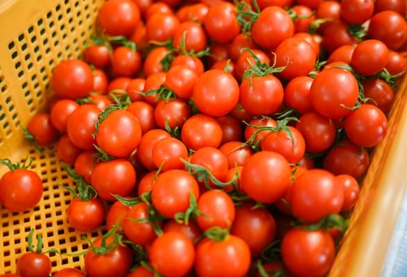 24171710 | コーヒーステーション