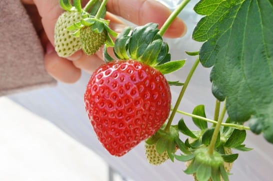 24171711 | コーヒーステーション