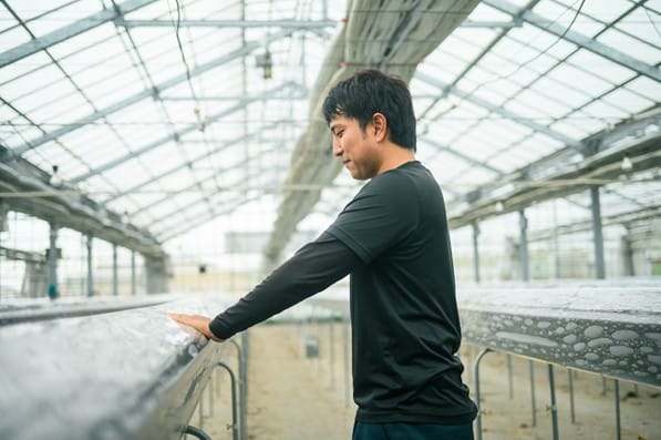 2417175 | コーヒーステーション