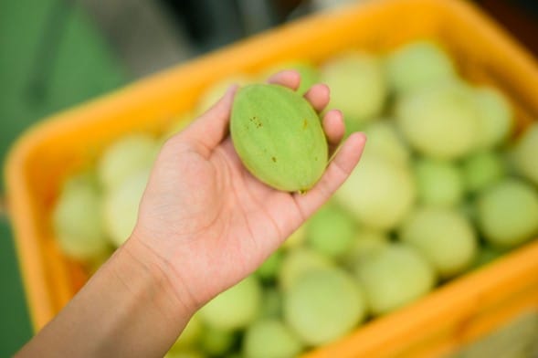 2417179 | コーヒーステーション