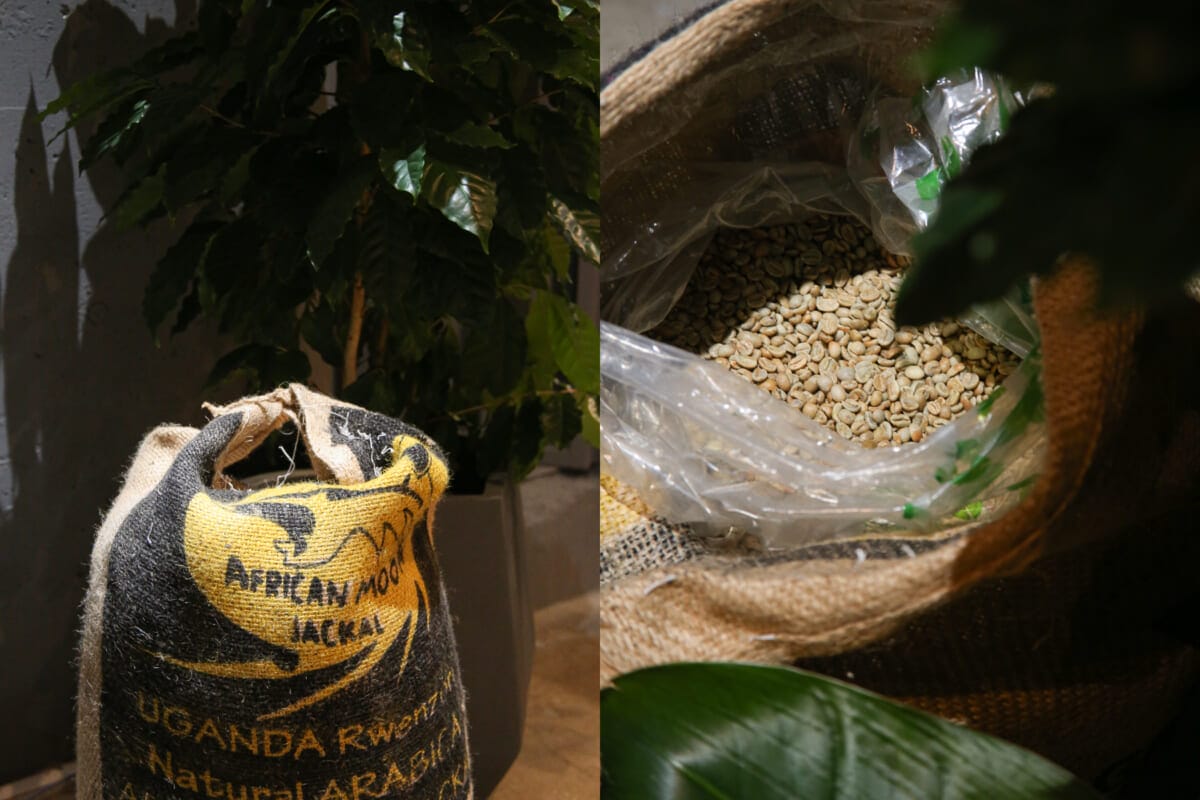 sub34 | コーヒーステーション