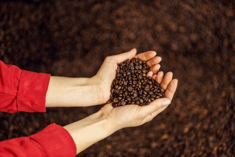 Close up of hands holding heart shaped coffee beans in hands | コーヒーステーション
