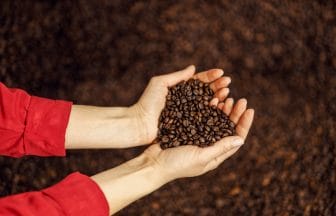 Close up of hands holding heart shaped coffee beans in hands | コーヒーステーション