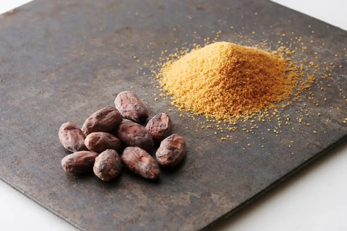 7111069cb96d89b7354c1ceefe21615302459b2882x1921 | コーヒーステーション