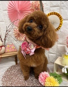 20230123213905 | コーヒーステーション