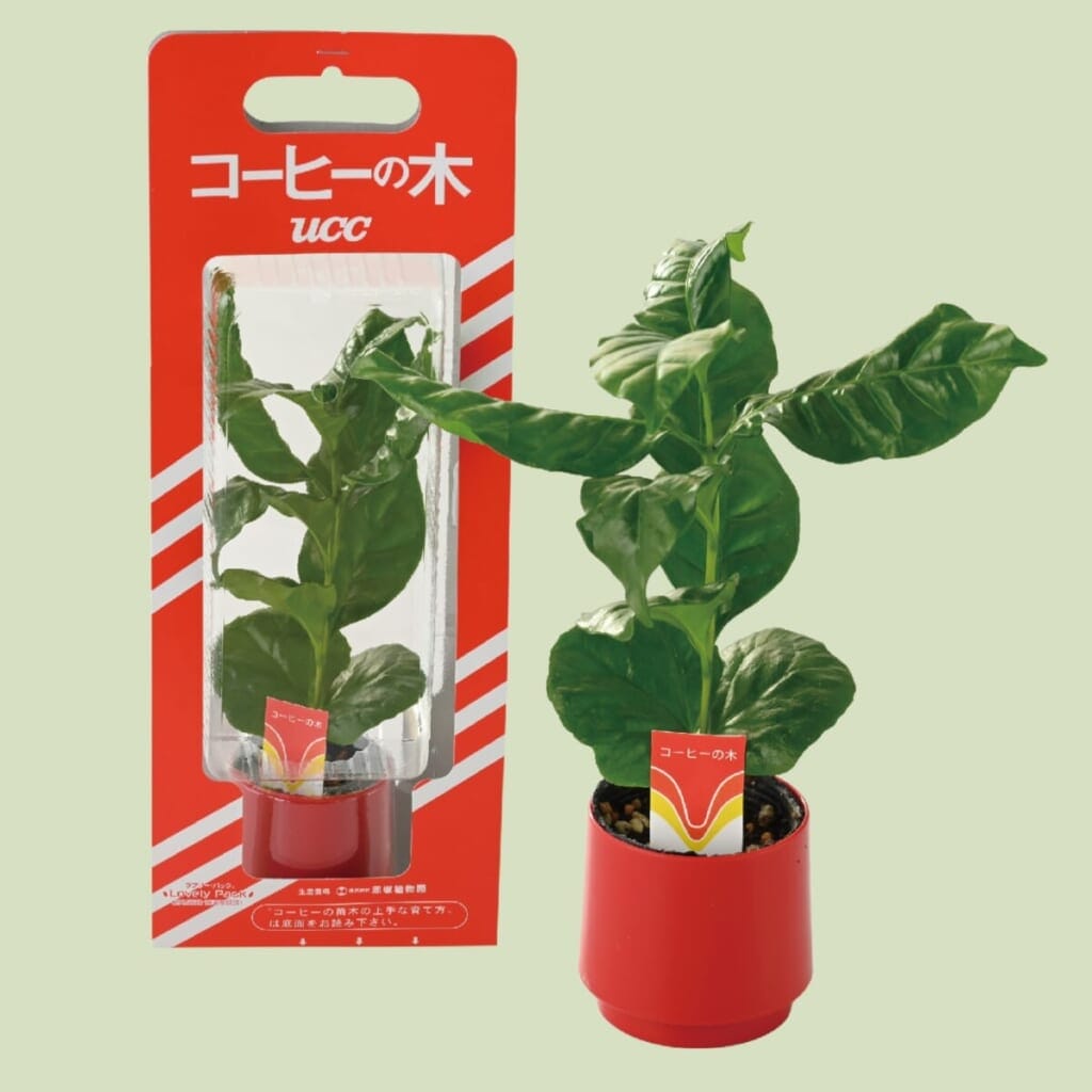 Print | コーヒーステーション