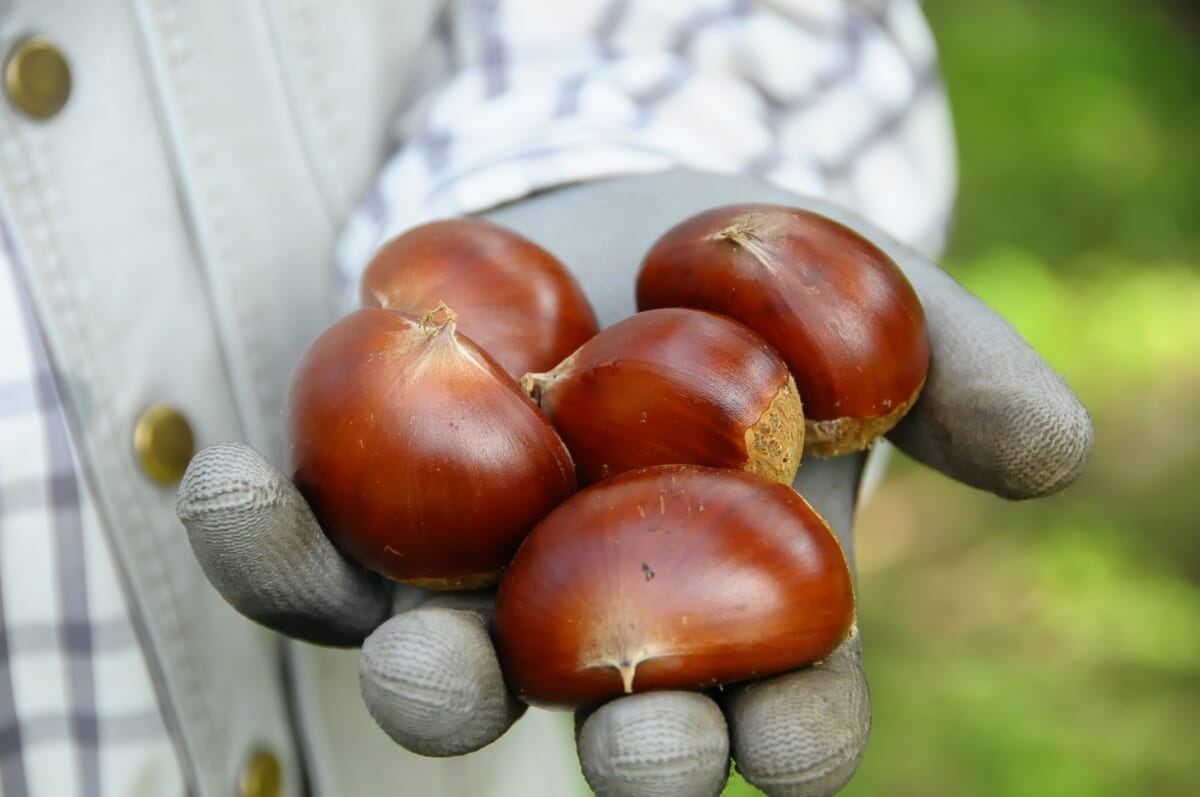 コーヒーステーション コーヒーステーション