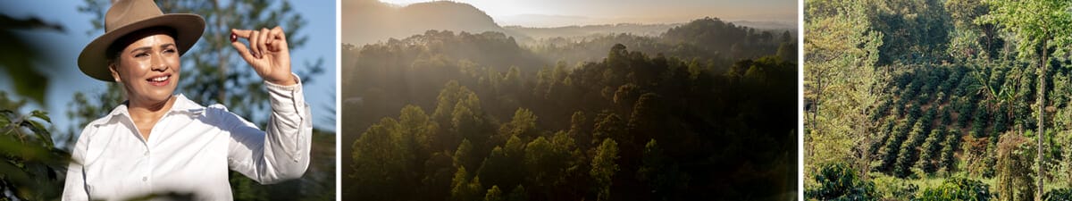 コーヒーステーション コーヒーステーション
