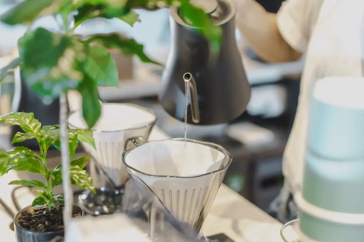 コーヒーステーション コーヒーステーション