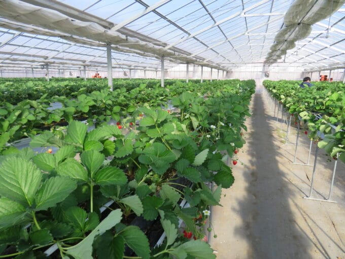 2bee0f65cd19586fdc6518f14b7c2c7fe1734339739841 | コーヒーステーション