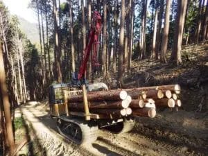 58947193197766ba4db9aae21a8ef36cbf7af05a1280x960 | コーヒーステーション