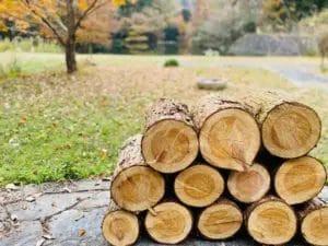 589471968a585ab75b2232f2ebccdcc2d7d26db53900x2925 | コーヒーステーション