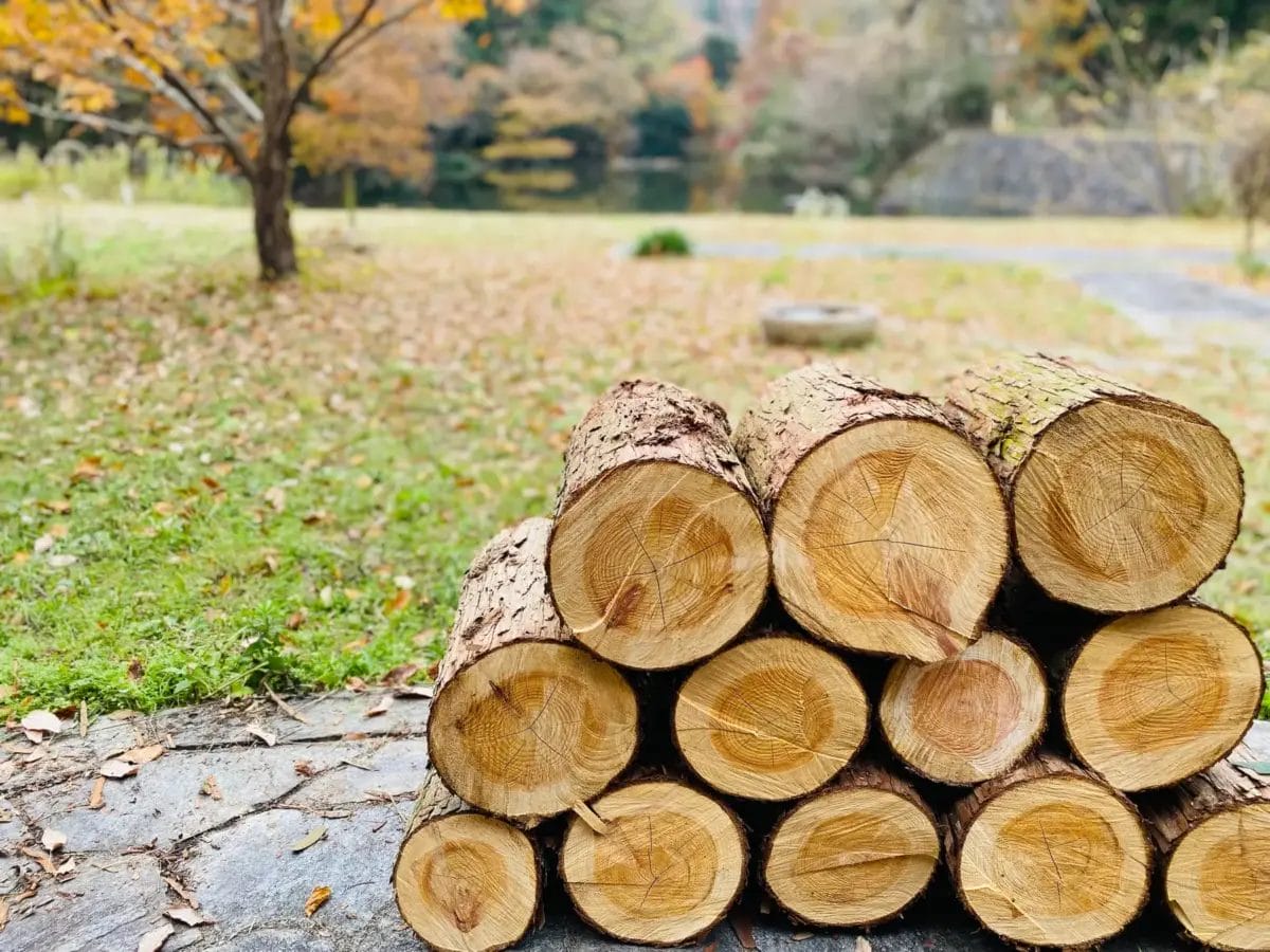コーヒーステーション コーヒーステーション