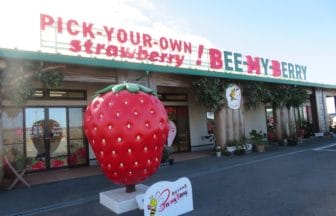 c72063b6b0f47e8785bffce521453094e1734339295541 | コーヒーステーション