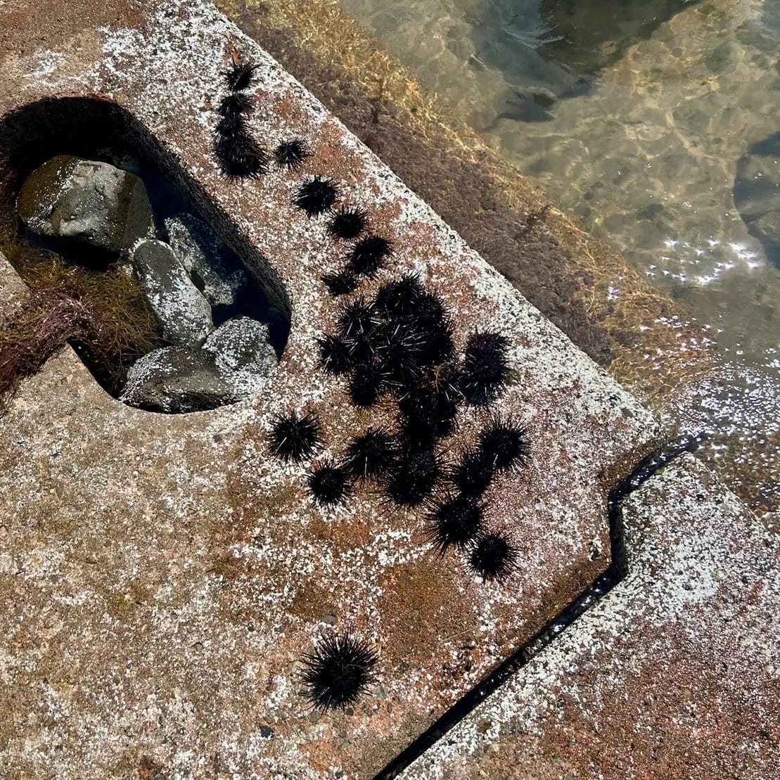 コーヒーステーション コーヒーステーション