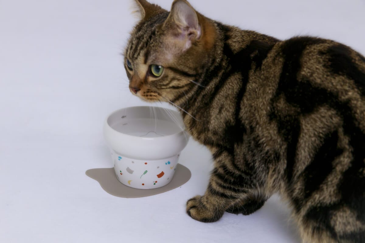 コーヒーステーション コーヒーステーション