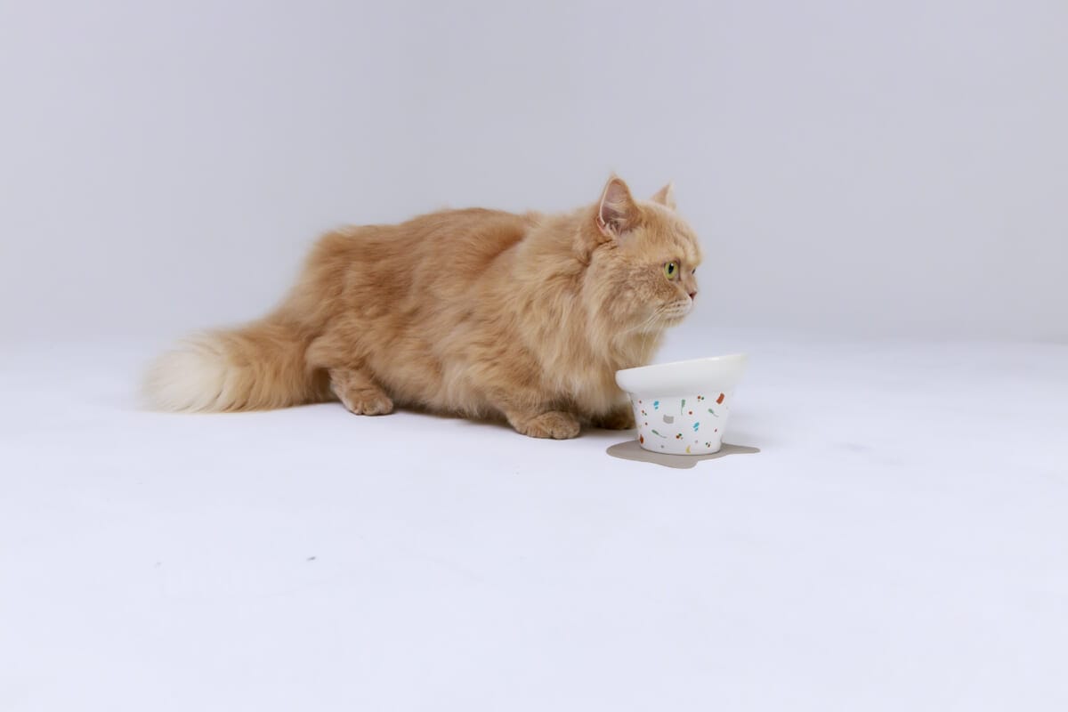 1202083 | コーヒーステーション