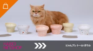 250221catday1 | コーヒーステーション