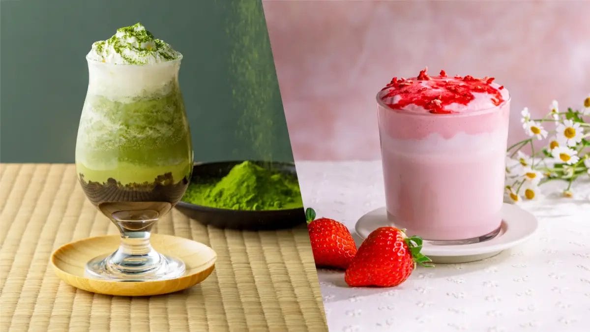 2700515599b5c46fa0c8e65dd8c3a8eeb3326f2d3900x2194 | コーヒーステーション