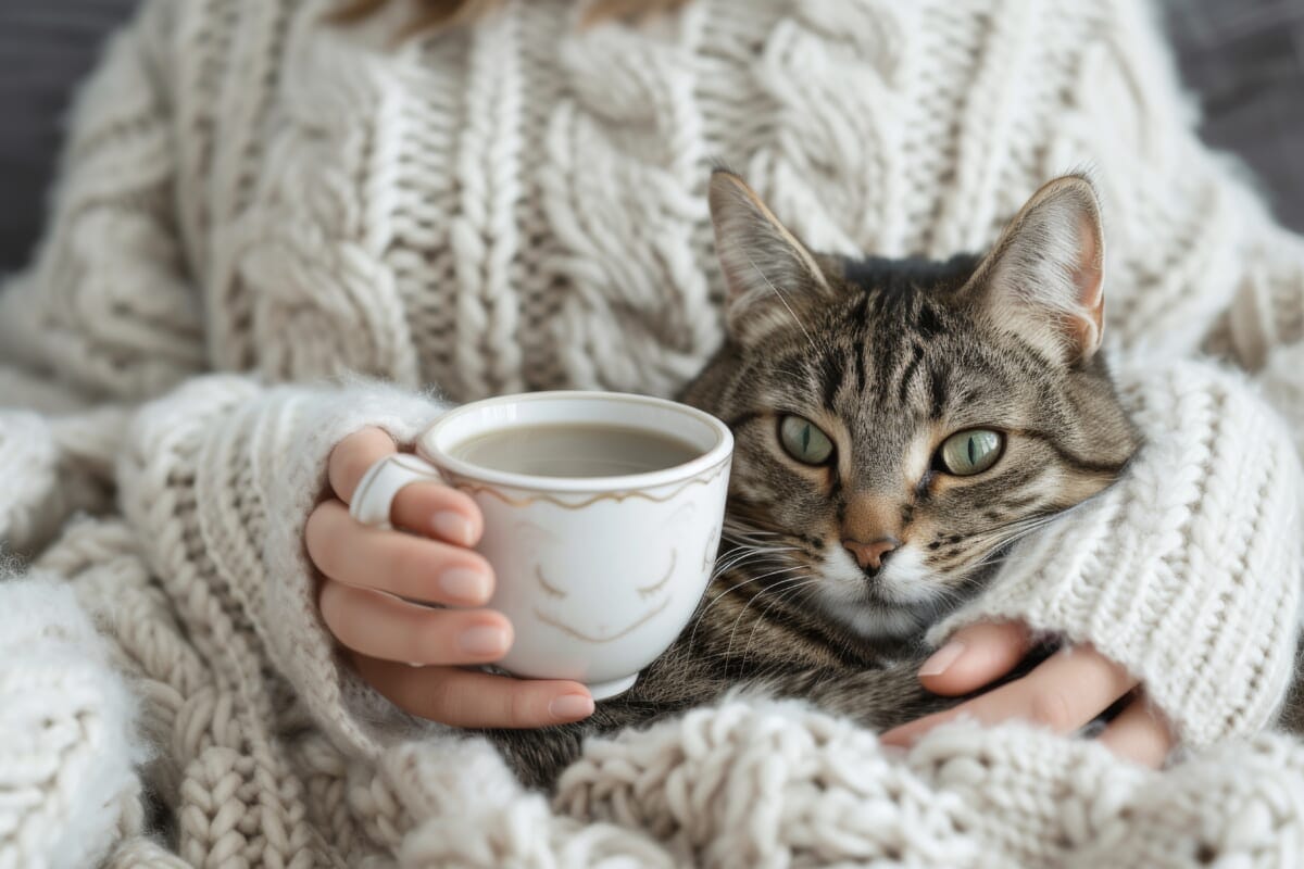 Closeup of woman holding hot drink over cat on blanket | コーヒーステーション