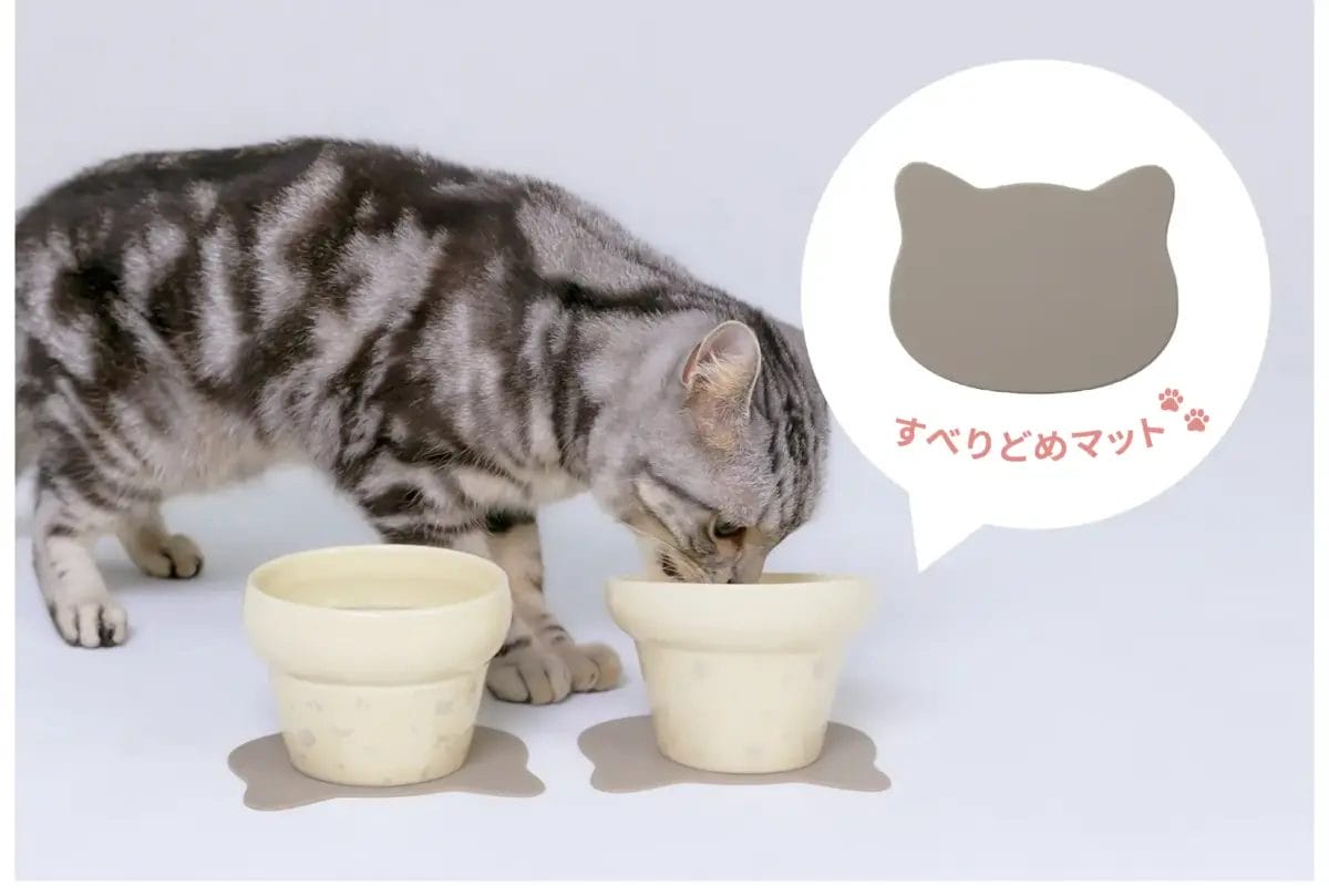 68597594b5faaa78b44690e58d9da9376621f9d3197x2156 | コーヒーステーション