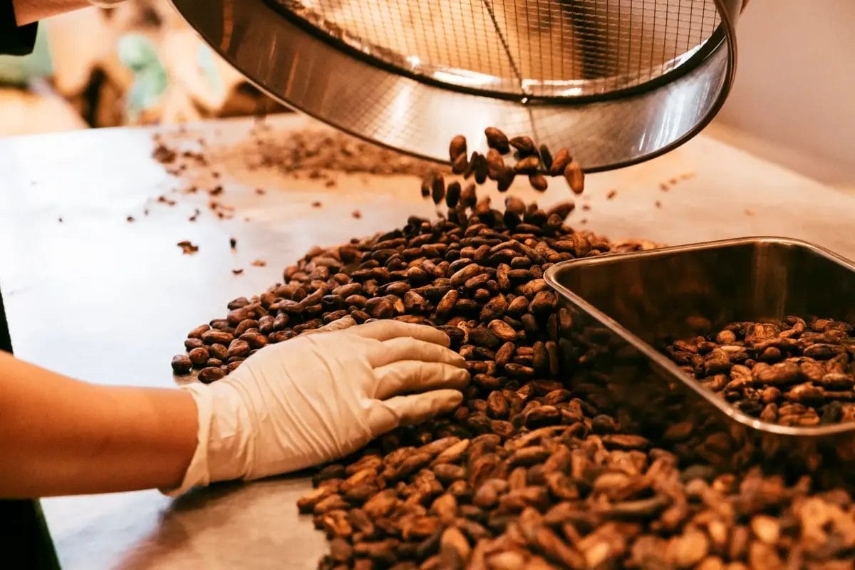 コーヒーステーション コーヒーステーション