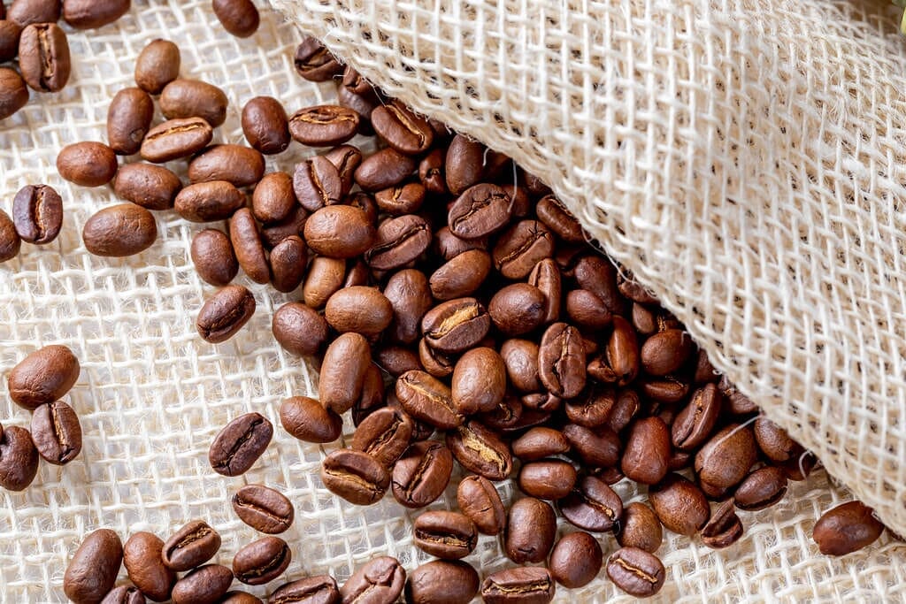 AD4nXdNvJqcxxL38uQFJ3s208VHHRxRlbvmuasKyTULouSf6twepzBAbllUbbETDbJX0FSU3QvCxr80P42WvJ9hRpQR7BdxBeD9bnATsYwRtxPARzNItZqN4lLmOAux1bqY3e0PC4g | コーヒーステーション