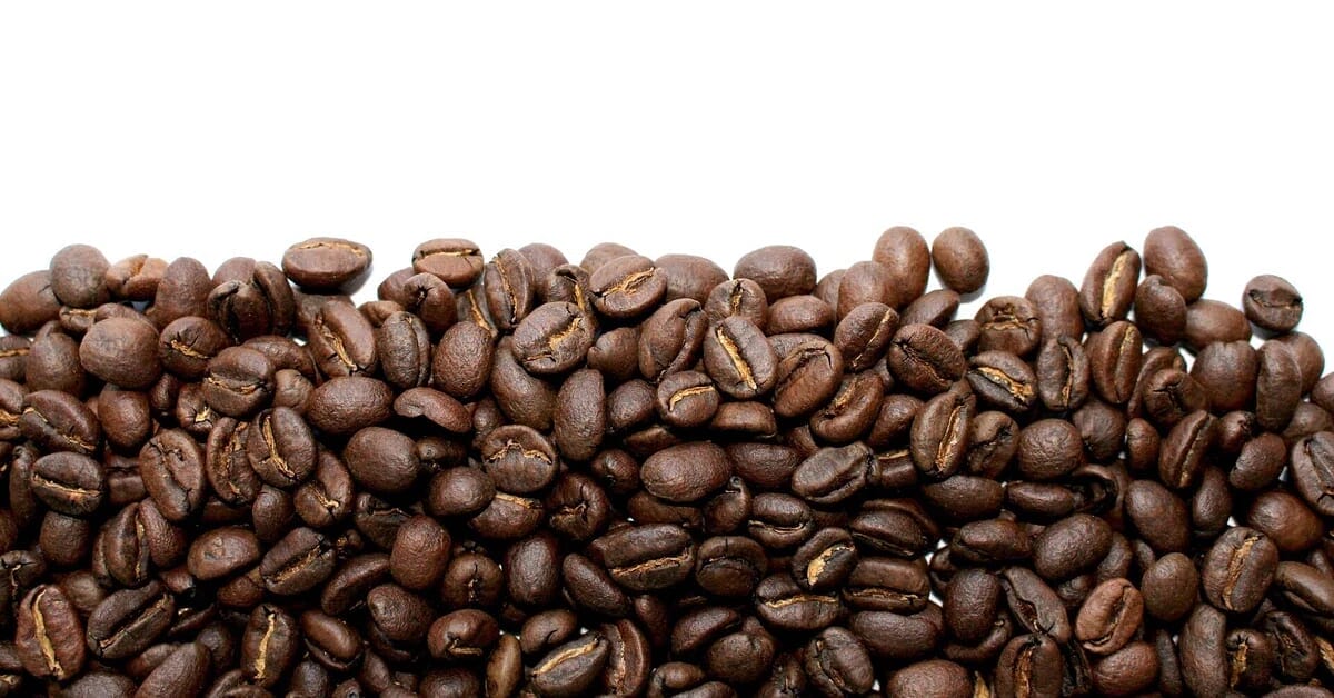 AD4nXfRvCzl0ybHEp6dL9AxkQlv7ZvKviLLVyvPKHdHVdAeIL5ntEj0GLJhIR7aaLR01fvDhgUBypPz8JgUHcpL7WW4jRmgvz7gZrA1jC8mGev2SS68Y45DO9WNvaVol1p1YLvJw | コーヒーステーション