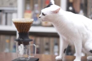 image | コーヒーステーション